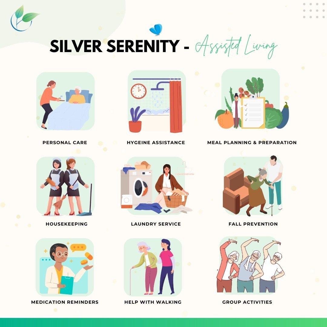 Overview of Silver Serenity's care services